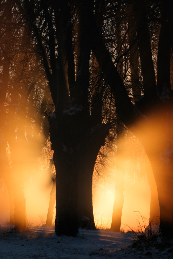Winter sunrise as seen through early morning mist near Alby farm, Jeloy island, Norway