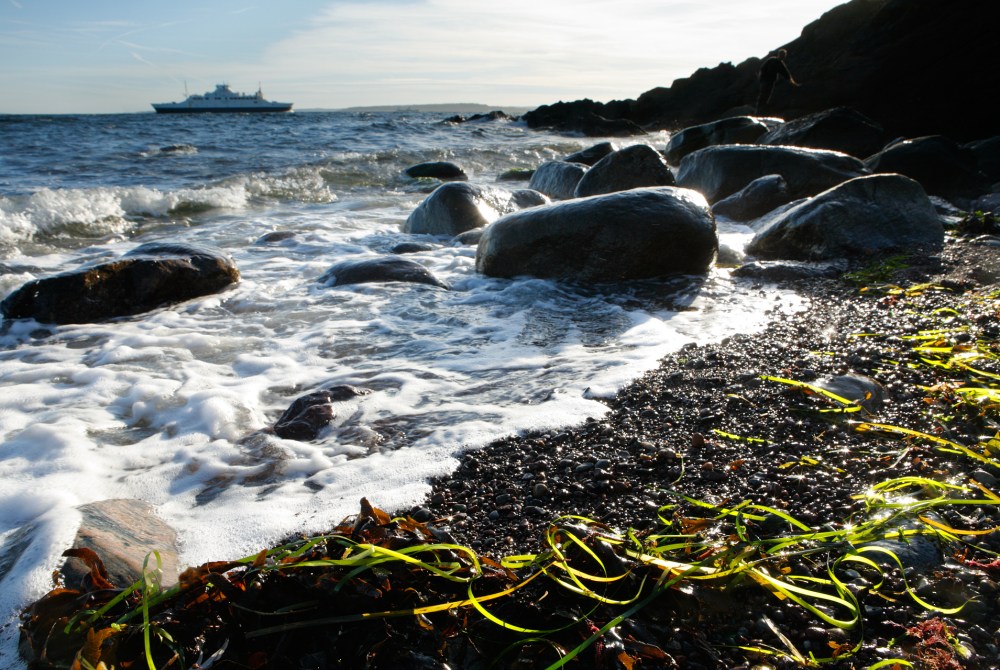 jeloy_ilebukta_aalegress_kurs_3144_45_46_lens_corr