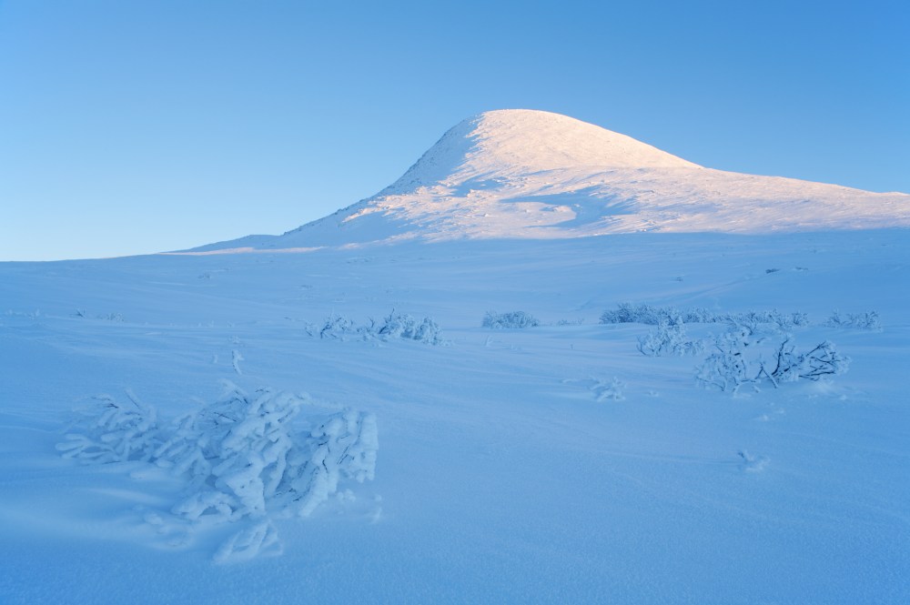 venabu_2878_81_84_wb_5000_satplus2_cmin1_final