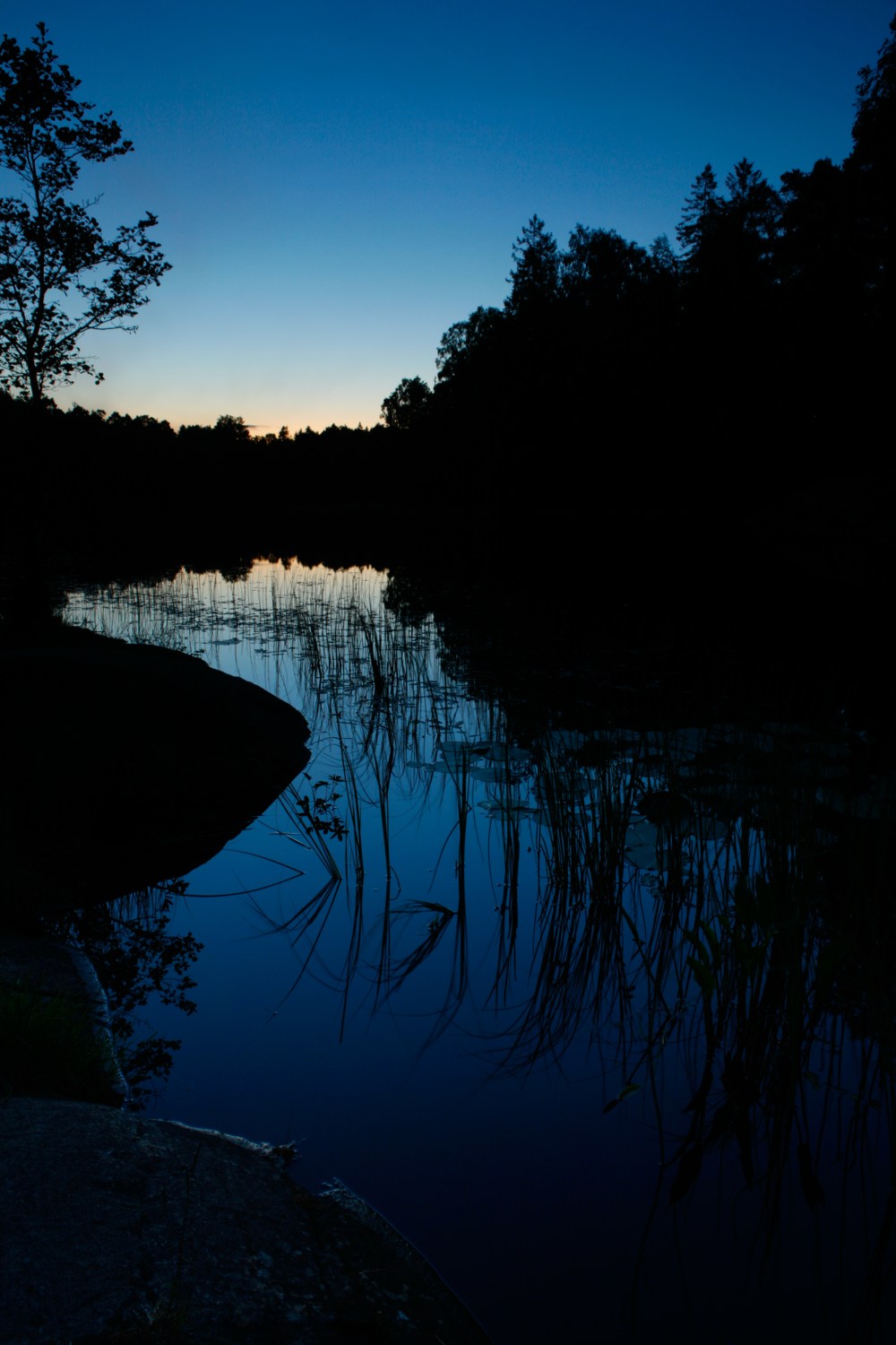 Sommernatt_ved_Molbekktjernet_i_Mosseskogen
