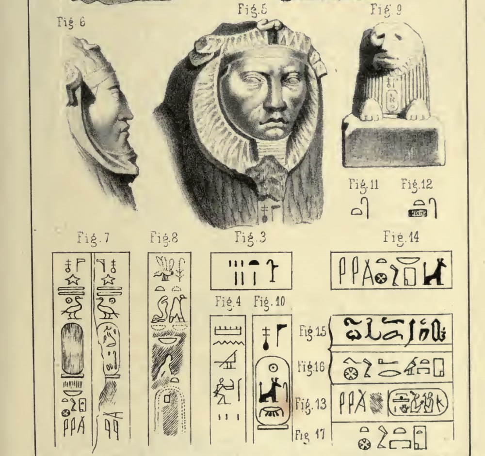 The face of one of the so-called Hyksos or Tanis Sphinxes